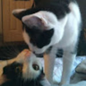 Meet your Posher, Emma